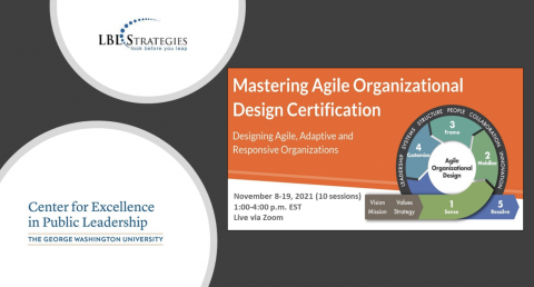 Mastering Agile Organizational Design Certification